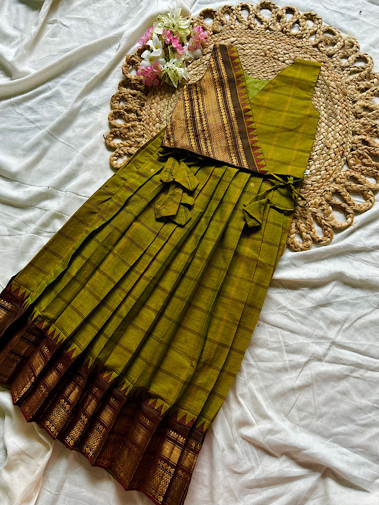 Full view of kids pattu pavadai with pleated skirt and temple border