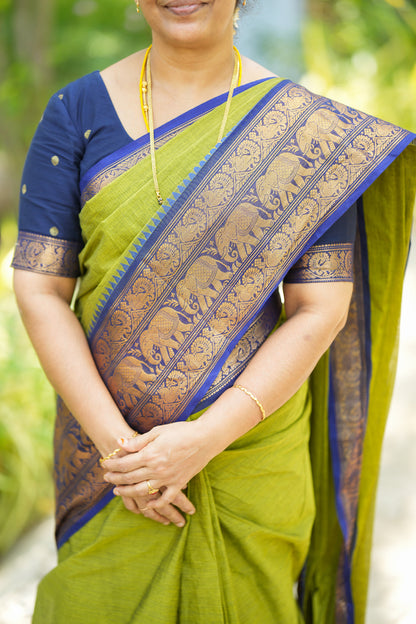 Vedhika - Cotton Saree with Zari Border